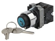 Переключатель ЭРА BSW80-BG-2-K02E