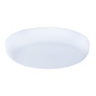 Потолочный светильник Arte Lamp A7982PL-1WH Prior