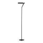 Торшер Divinare 3234/06 PN-1 SOLE