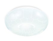 Потолочный светодиодный светильник Ambrella light FZ1090 ORBITAL