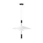 Подвесной светильник Loft IT 10244/A Black Skylar