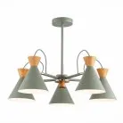 Люстра потолочная EVOLUCE SLE125112-05 Modica