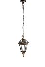 Уличный светильник подвесной Oasis Light 95205S Gb