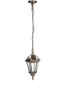 Уличный светильник подвесной Oasis Light 95205S Gb