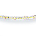 Лента белого свечения 24V Lightstar 421024