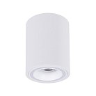 Потолочный светильник Arte Lamp A2267PL-1WH IMAI