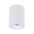 Потолочный светильник Arte Lamp A2267PL-1WH IMAI