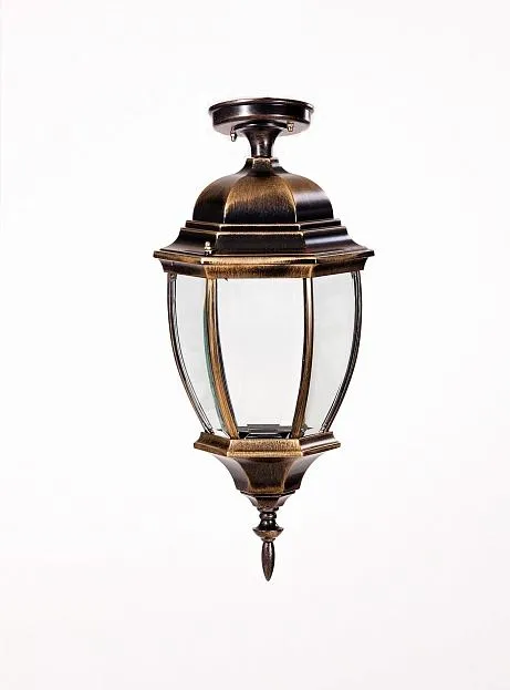 Потолочный светильник уличный Oasis Light 91205LA Gb ARSENAL L