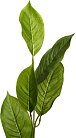 Искусственные растения Garda Decor 9F27924N-4382