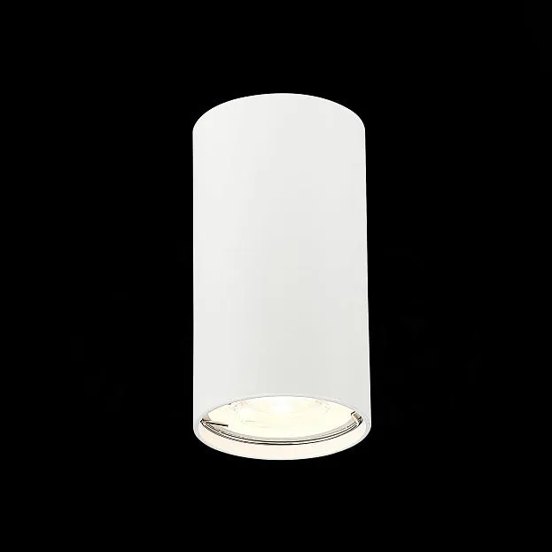 Потолочный светильник ST Luce ST110.507.01 Потолочный светильник ST Luce ST110.507.01