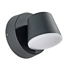 Уличный Светильник Arte Lamp A2212AL-1BK CHICO
