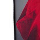 Декоративная картина Lumina Deco FP Red Hat 50-70