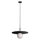 Подвесной светильник Loft IT 10120/350P Black Ufo