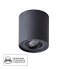 Светильник Потолочный Arte Lamp A5645PL-1BK FALCON