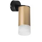 Спот Lightstar RB44031 Rullo