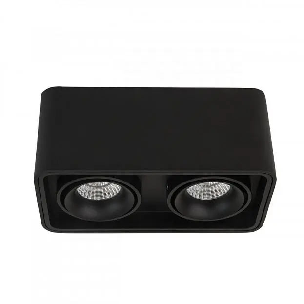 Накладной светильник LeDron TUBING 2 Black Накладной светильник LeDron TUBING 2 Black