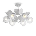 Потолочная люстра Freya FR5165PL-06W Satellite