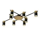 Потолочная люстра Favourite 2825-8P Topper