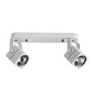 Светильник Потолочный Arte Lamp A1314PL-2WH LENTE