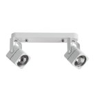Светильник Потолочный Arte Lamp A1314PL-2WH LENTE