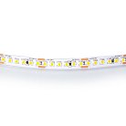 Лента теплого белого свечения 24V Lightstar 421003