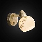 Светильник-спот настенно-потолочный Citilux CL520513 Соната