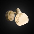 Светильник-спот настенно-потолочный Citilux CL520513 Соната