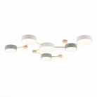 Светильник потолочный Evoluce SLE600102-06 DOSSENA