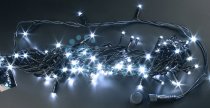 Гирлянда Rich LED RL-S100FF-24V-BG/W