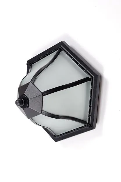 Потолочный светильник уличный Oasis Light 89425 Bl