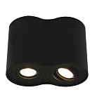 Светильник Потолочный Arte Lamp A5644PL-2BK FALCON