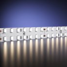 Светодиодная лента Maytoni 201111 Широкая светодиодная лента