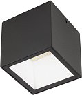 Потолочный светильник уличный Oasis Light W3891-3K Bl  tube LED