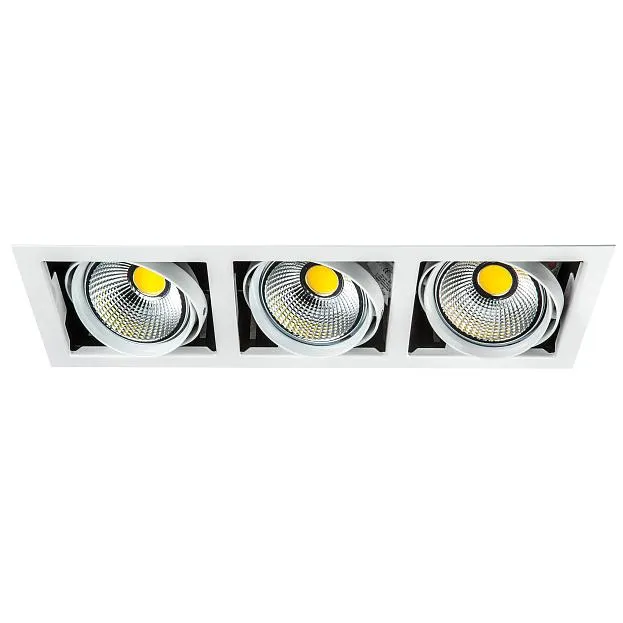 Светильник поворотный встраиваемый Lightstar 214130 Cardano Светильник поворотный встраиваемый Lightstar 214130 Cardano