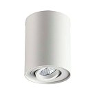 Потолочный накладной светильник Odeon Light 3564/1C PILLARON