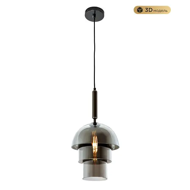 Подвесной светильник MODESTYLE MS.220.250 BK Подвесной светильник MODESTYLE MS.220.250 BK