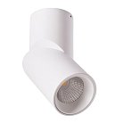 Светильник Потолочный Arte Lamp A7717PL-1WH ORIONE