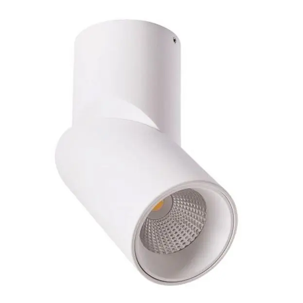 Светильник Потолочный Arte Lamp A7717PL-1WH ORIONE Светильник Потолочный Arte Lamp A7717PL-1WH ORIONE
