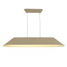 Светильник подвесной ST-Luce SL3001.813.01 SENTITO