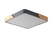 Светильник потолочный ZORTES ZRS.01288.60 ALBERRO