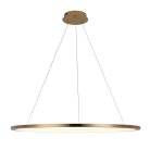 Подвесной светильник Loft IT 10014XL Ring