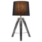 Настольная лампа Lussole LSP-0555 Lgo Amistad