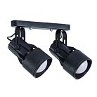 Светильник Потолочный Arte Lamp A6252PL-2BK LYRA