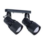 Светильник Потолочный Arte Lamp A6252PL-2BK LYRA