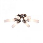 Люстра потолочная Citilux CL101161 Компакто