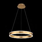Подвесная люстра ST Luce SL944.203.01 ONZE