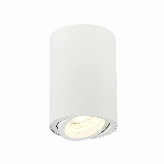 Потолочный светильник ST Luce ST108.507.01 Потолочный светильник ST Luce ST108.507.01