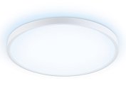 Потолочный светодиодный светильник Ambrella light FZ3005 WH