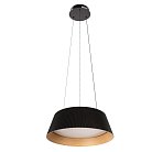 Подвесной светильник Loft IT 10224P Black Evans
