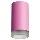 Накладной светильник Lightstar R43230 RULLO HP16